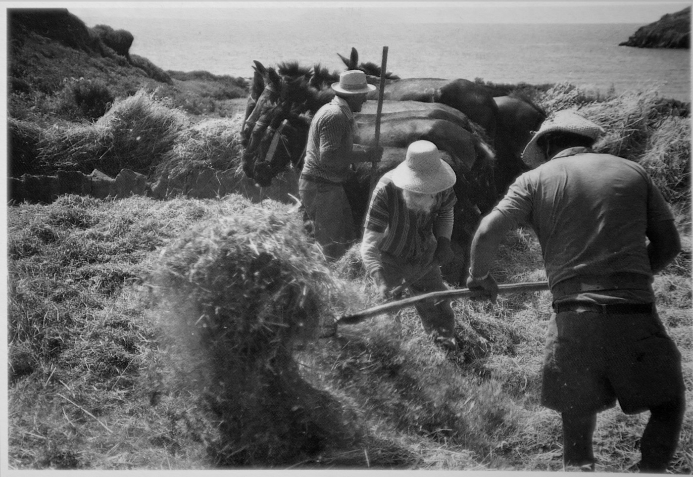 Λουκά Kόνια